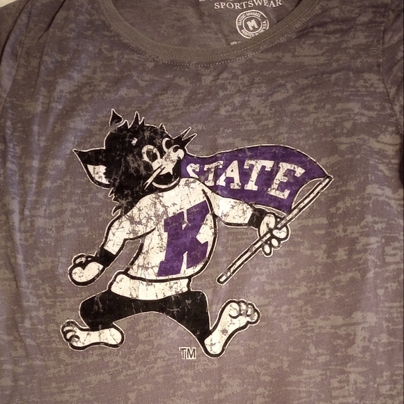 Vintage Willie the Wildcat graphic burnout tee - Picture 2 of 2